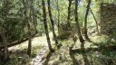 le_puy_chasse_aout_2017_085.JPG