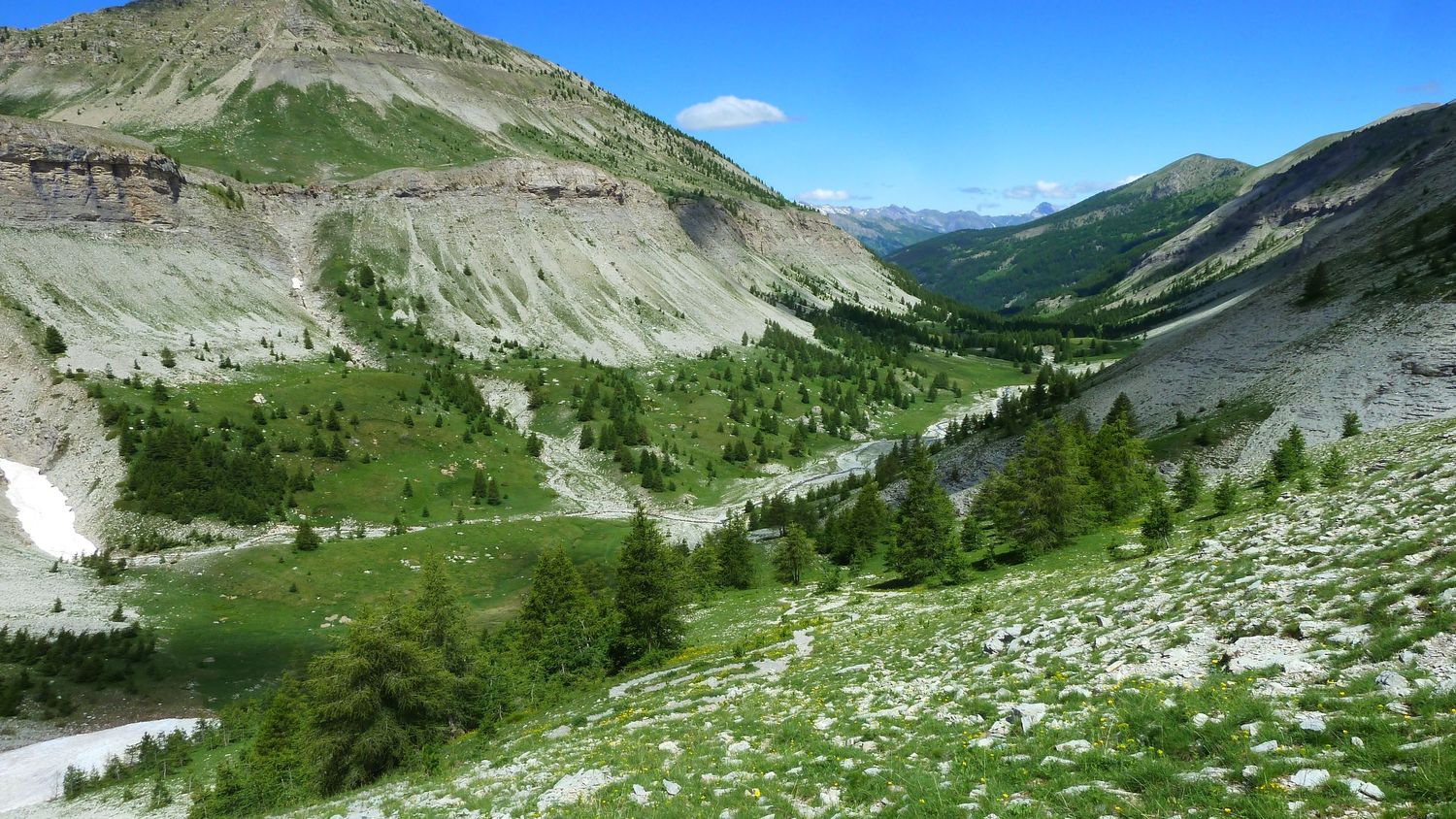 lignin_juillet_2018_135.JPG