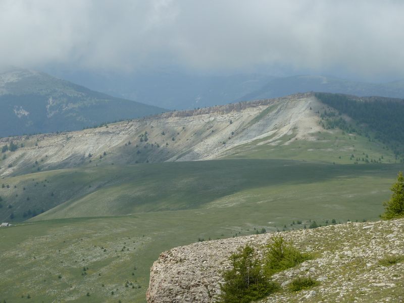 lignin_2011_62.jpg