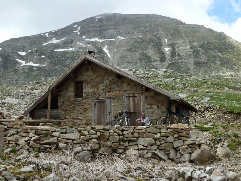 lignin_2011_98.jpg