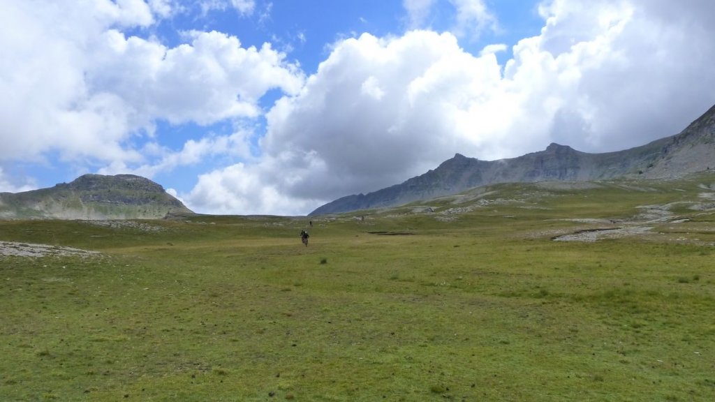 lignin_2013_138.jpg