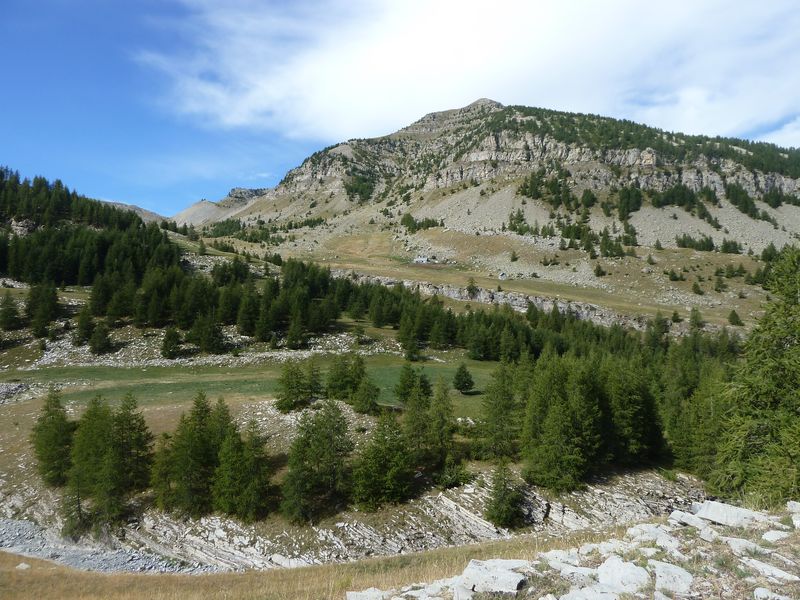 lignin_aout_2011_023.jpg