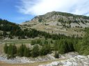 lignin_aout_2011_023.jpg