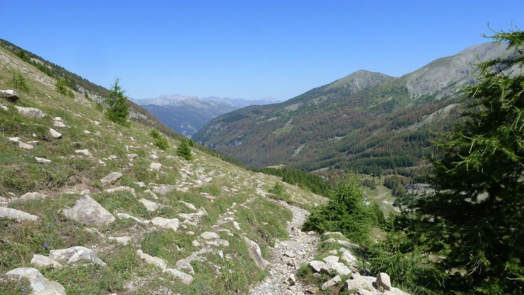 lignin_juillet_2016_145.JPG