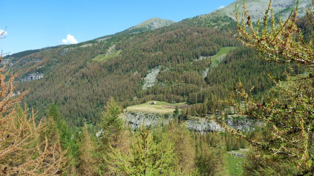 lignin_juillet_2016_157.JPG