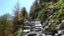 lignin_juillet_2016_159.JPG