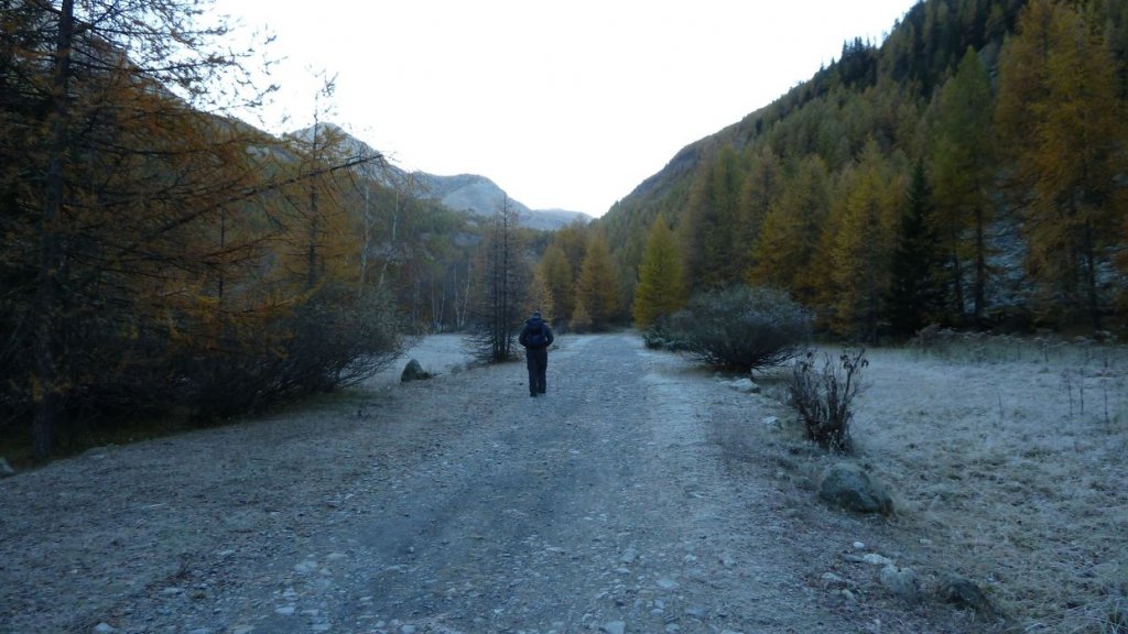 P1100574.JPG