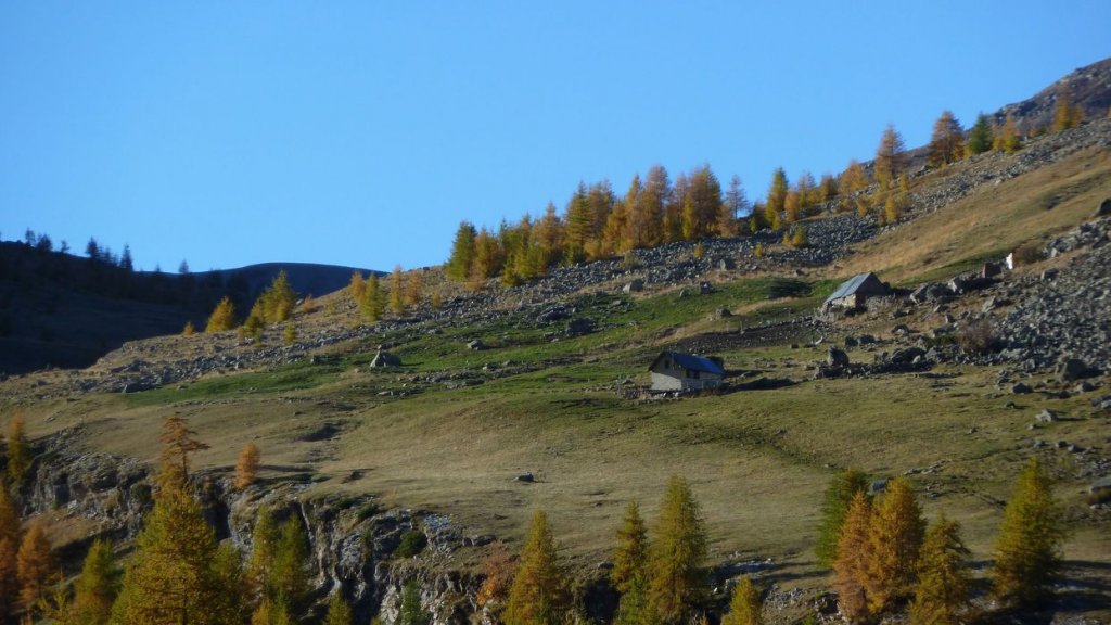 P1100589.JPG
