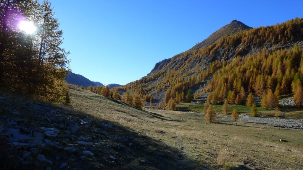 P1100595.JPG