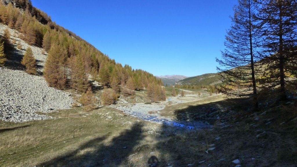 P1100602.JPG