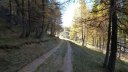 P1100590.JPG