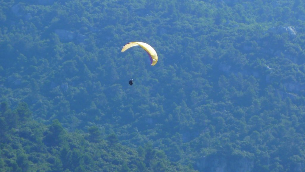 P1090551.JPG