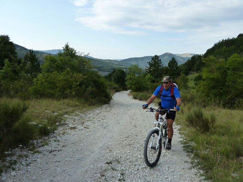 maurel_2011_011.jpg