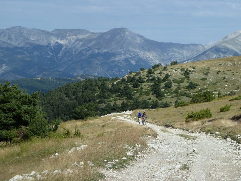 maurel_2011_023.jpg