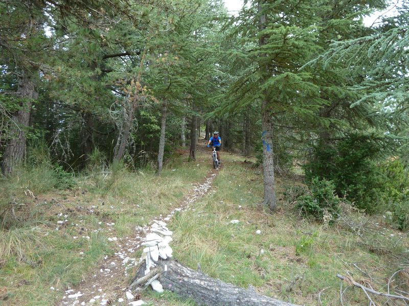 maurel_2011_039.jpg