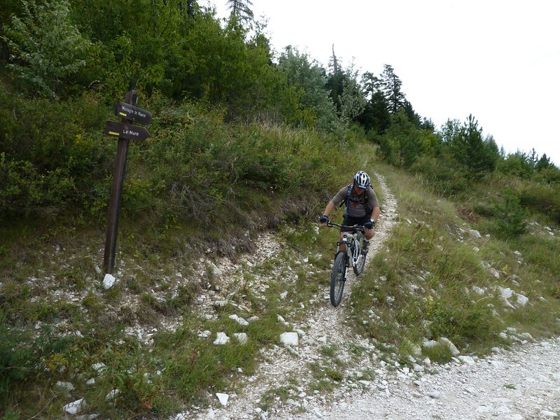 maurel_2011_043.jpg