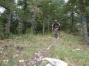 maurel_2011_037.jpg