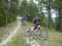 maurel_2011_049.jpg