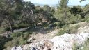 memorial_faron_mars_28201729_101.JPG