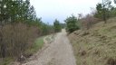 meouilles_angles_avril_2013_018.jpg