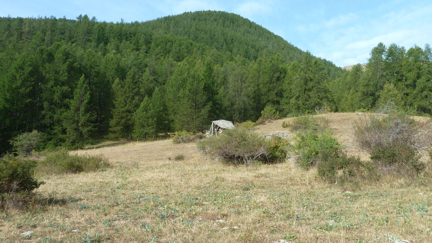 cabane_meyries_2017_097.JPG