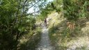 cabane_meyries_2017_124.JPG