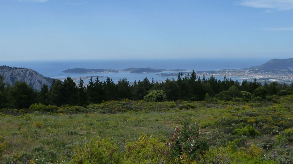 mont_caume_juin_2013_020.jpg