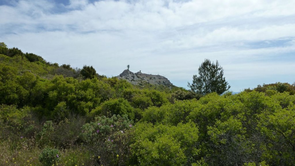 mont_caume_juin_2013_046.jpg