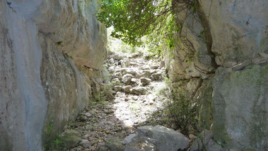 mont_caume_juin_2013_068.jpg