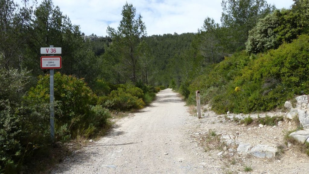 mont_caume_juin_2013_076.jpg
