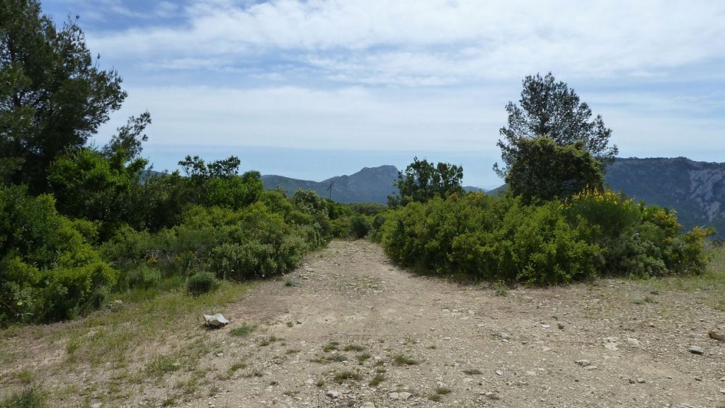 mont_caume_juin_2013_078.jpg