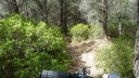 mont_caume_juin_2013_070.jpg