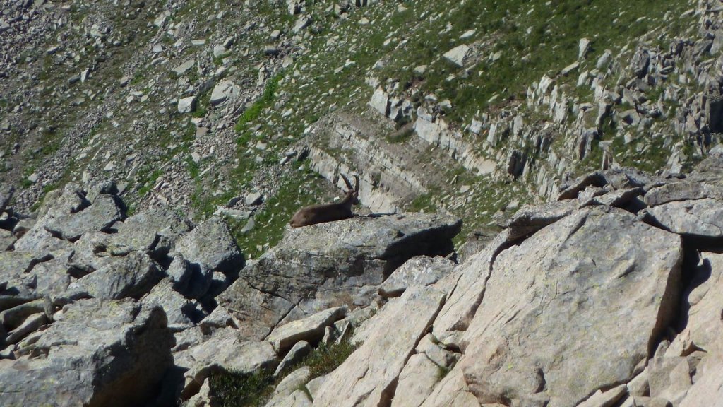 montagne_avalanche_juillet_2016_051.JPG
