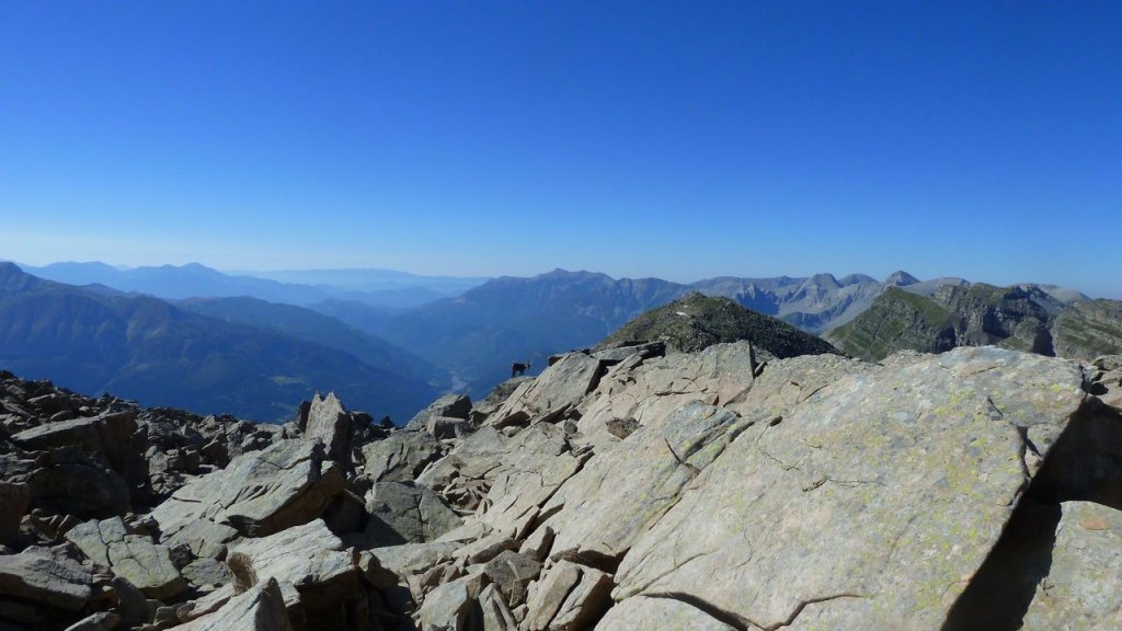 montagne_avalanche_juillet_2016_065.JPG