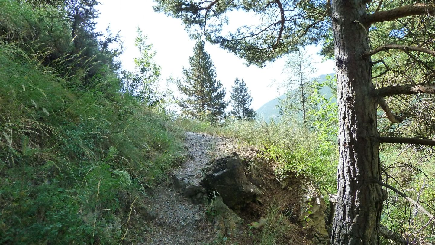 montgros_2017_010.JPG