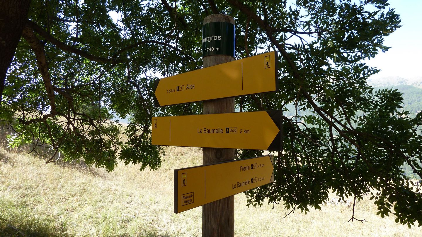 montgros_2017_052.JPG