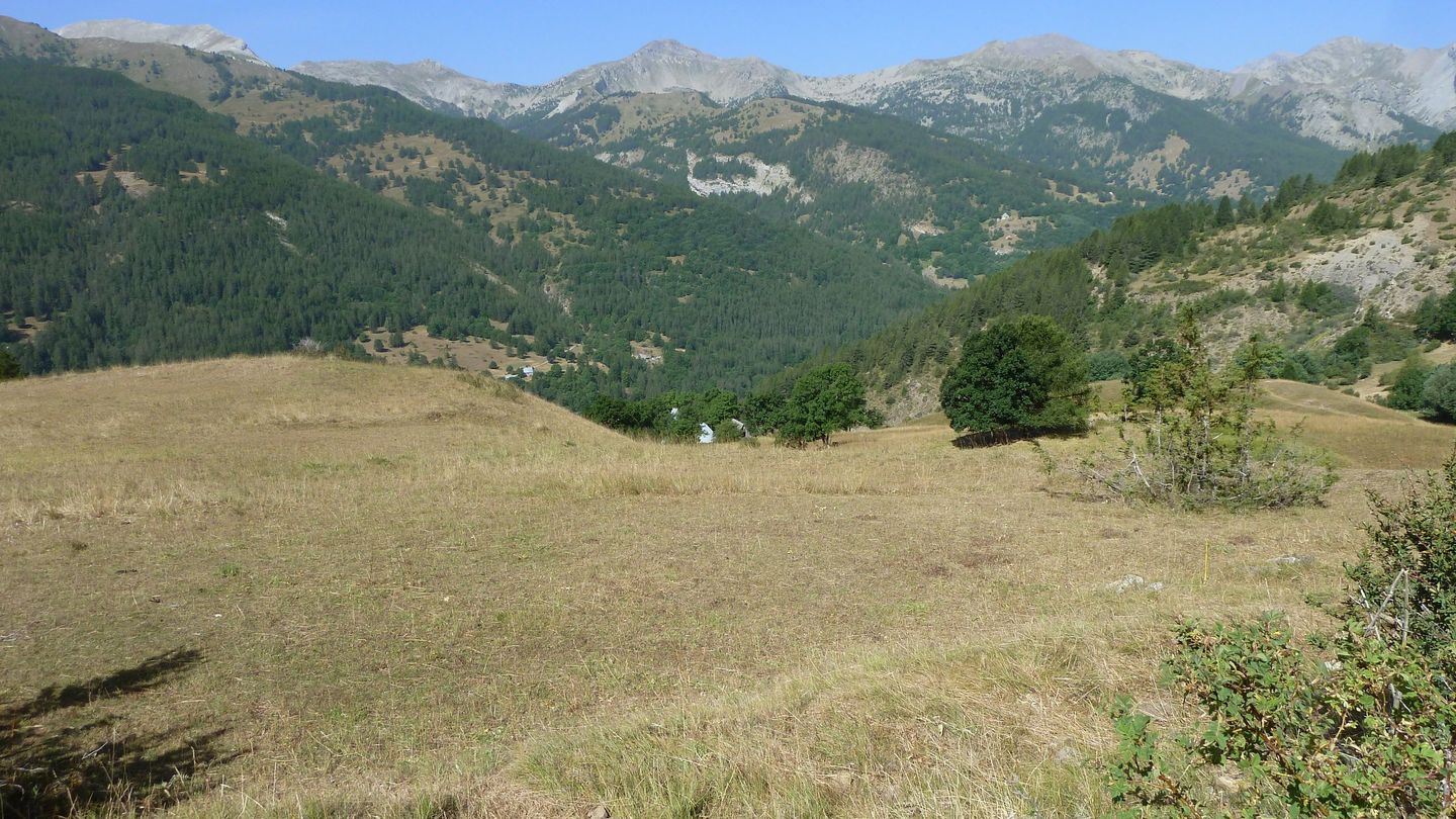 montgros_2017_058.JPG