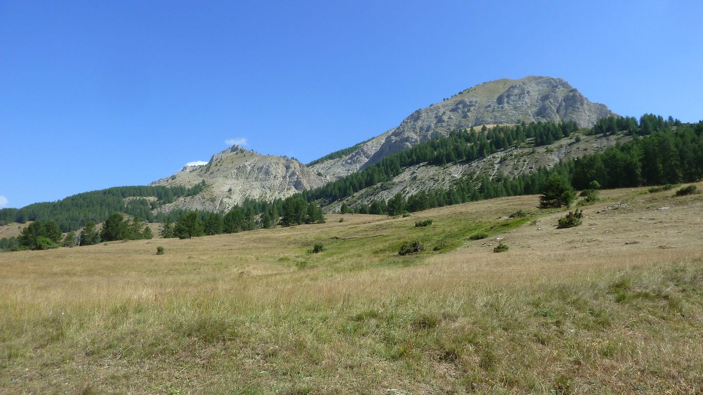 montgros_2017_070.JPG