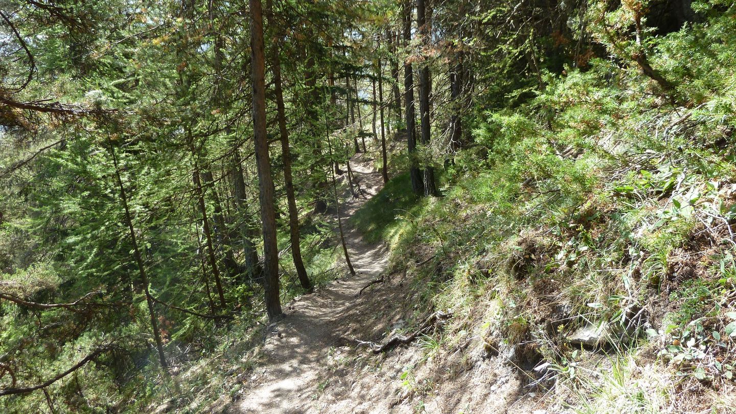 montgros_2017_109.JPG