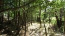 montgros_2017_034.JPG