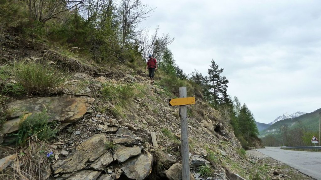 P1110530.JPG