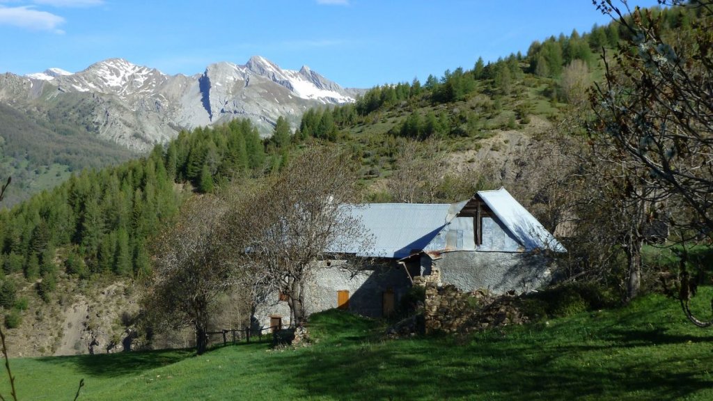 P1110635.JPG
