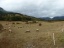 moustier_10_2011_011.jpg