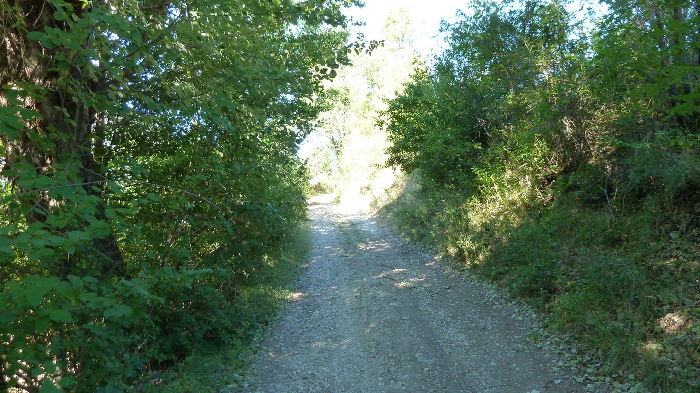 P1010687.JPG