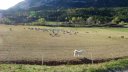 moustiers_nov__2013_016.jpg
