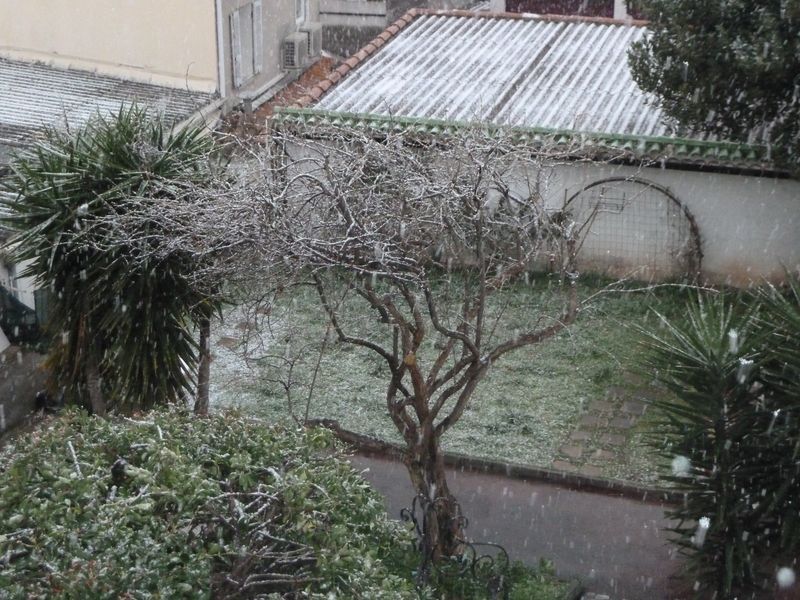 neige_toulon_10022012_016.jpg