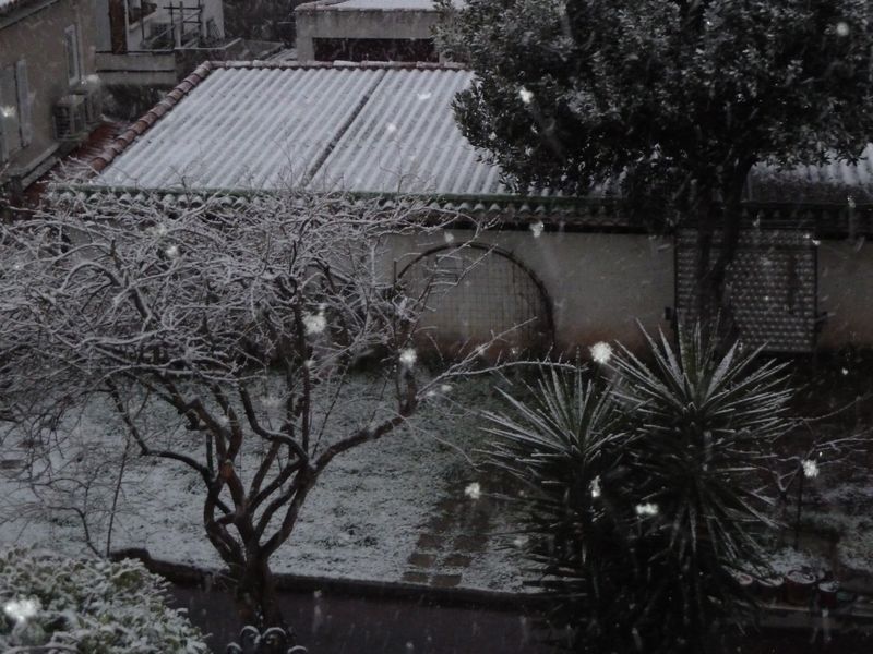 neige_toulon_10022012_022.jpg