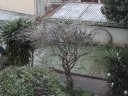 neige_toulon_10022012_016.jpg