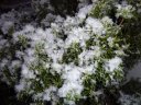 neige_toulon_10022012_026.jpg