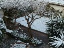 neige_toulon_10022012_044.jpg